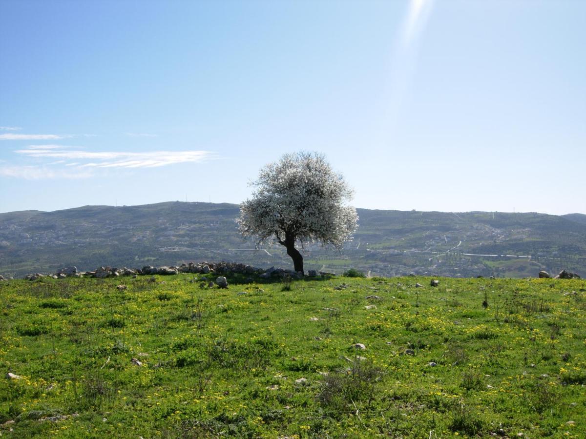 Ajloun Hotel Luaran gambar